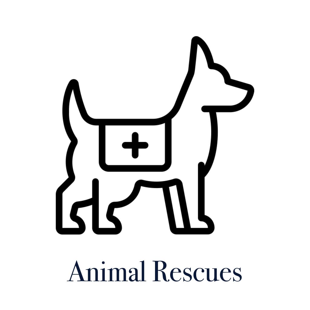 animal rescues in Connecticut