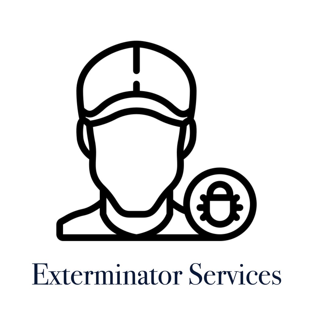 Exterminator Services in Connecticut