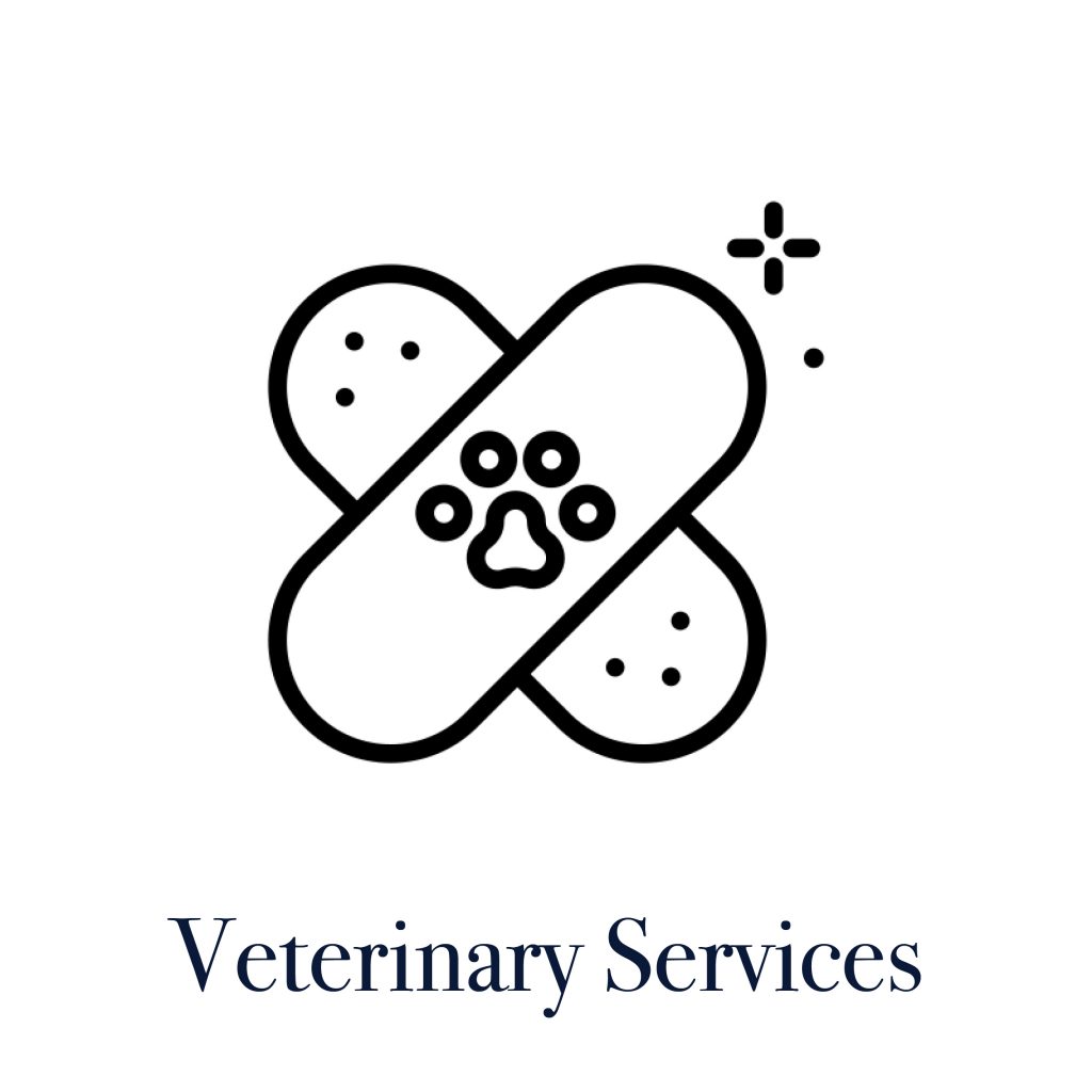 veterinary services in Connecticut