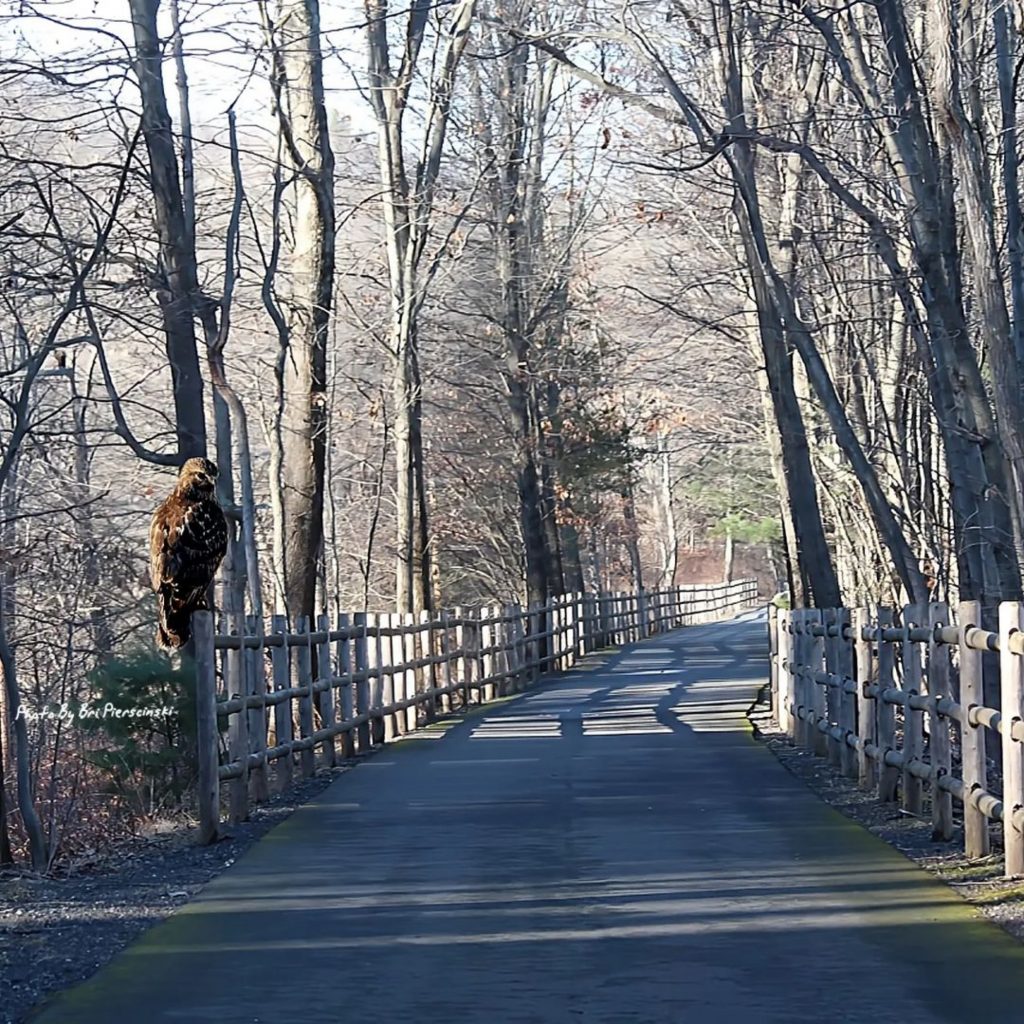 Connecticut photo of the day February 9, 2023, photo by pierscinski__photography on Instagram 