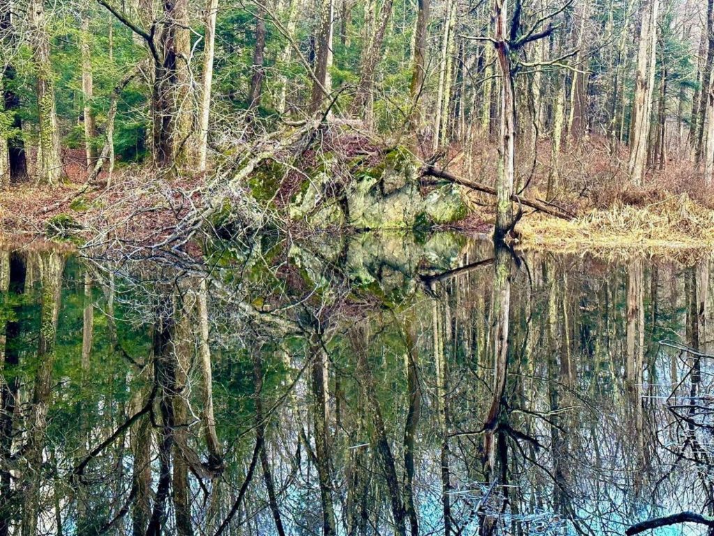 Connecticut photo of the day februray 4, 2023, Photo by hans.k.linderoth  on Instagram