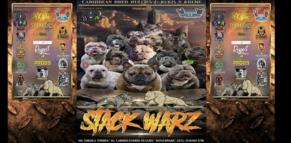 "STACK WARZ", HOSTED BY: CARIBBEAN BRED BULLIES & KUKIS N KREME