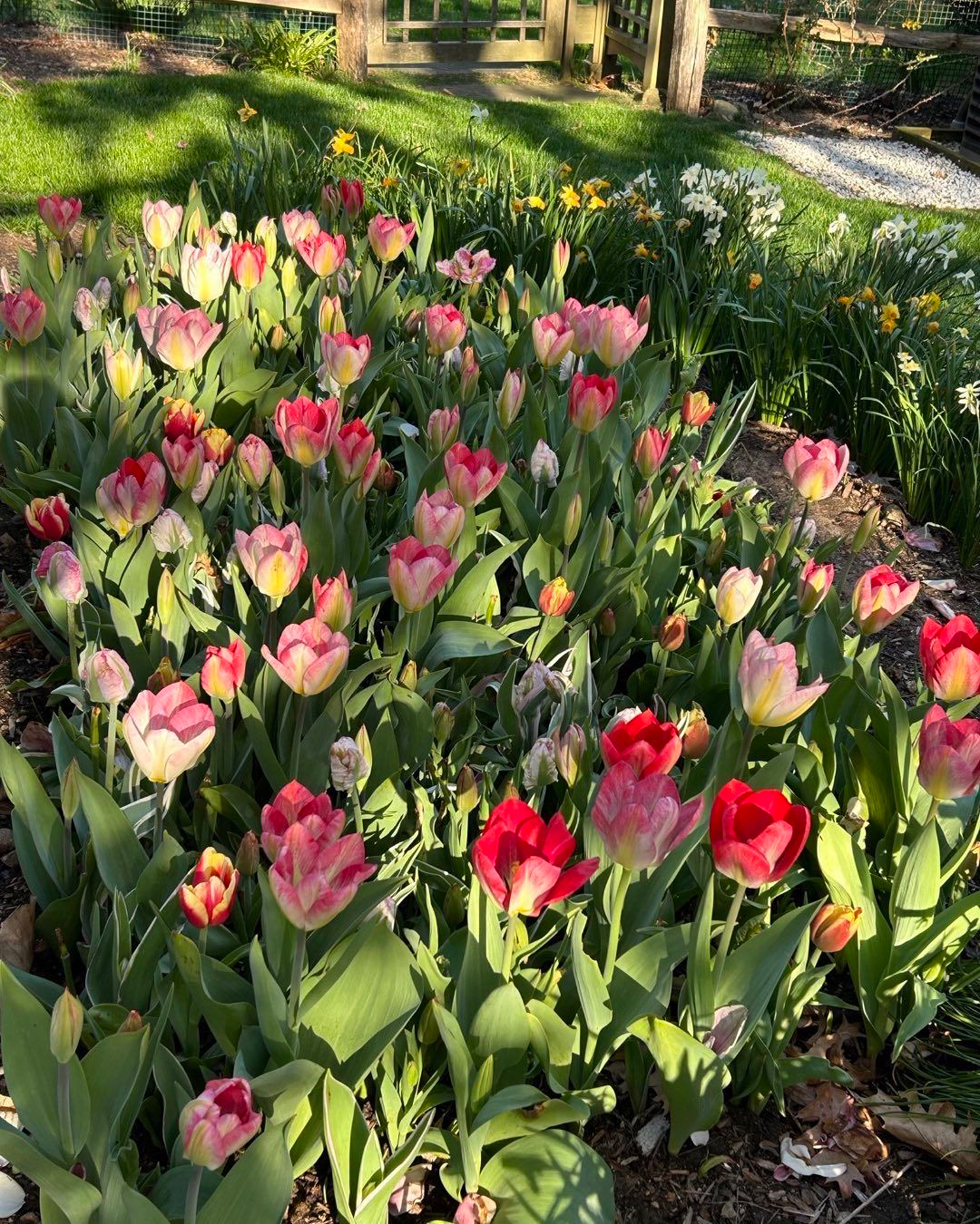 Gardens in Bloom