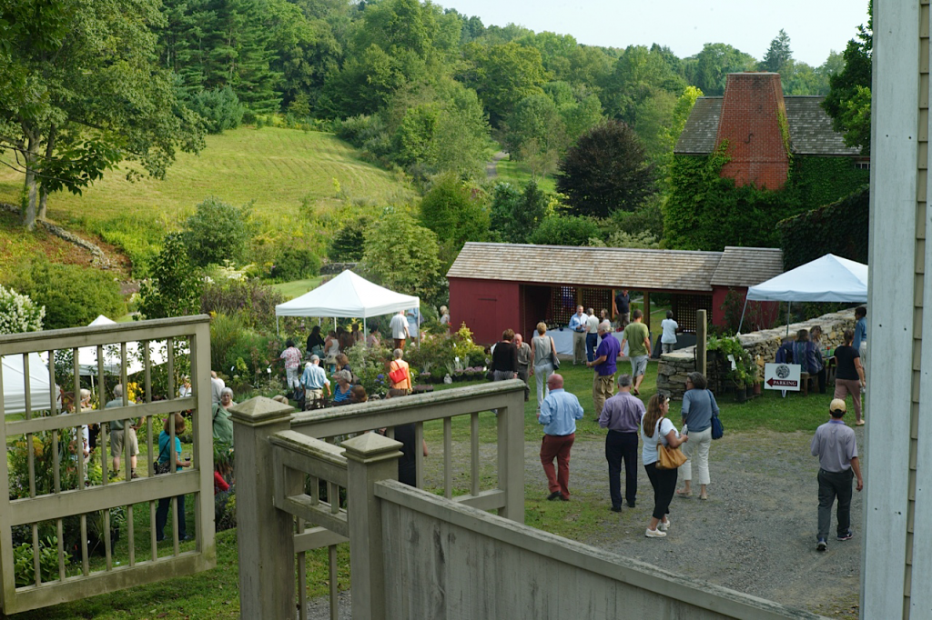 Cocktails and preview of rare and unusual plants 