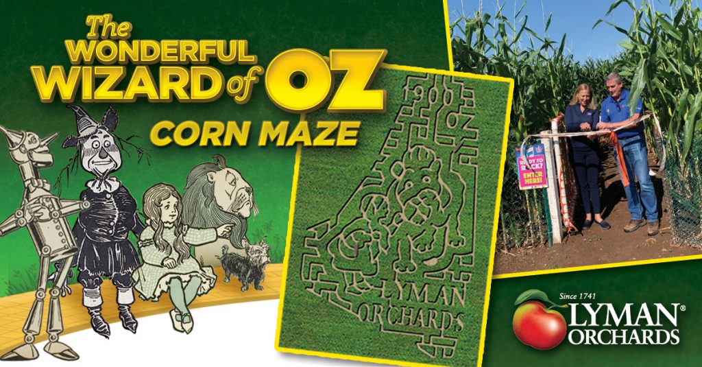 Lyman Orchards corn maze opens September 2, 2023 