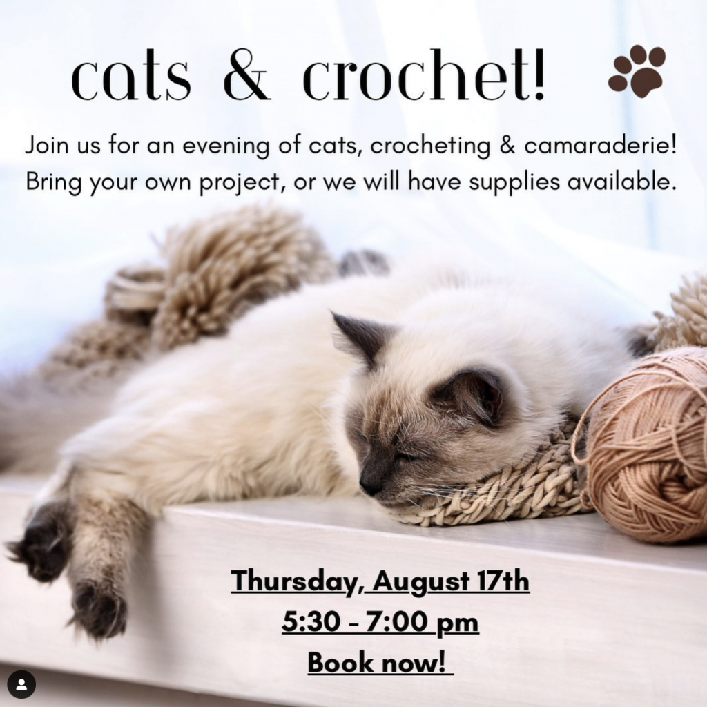 Cats and crochet at All the Single Kitties in Old Saybrook, Connecticut 