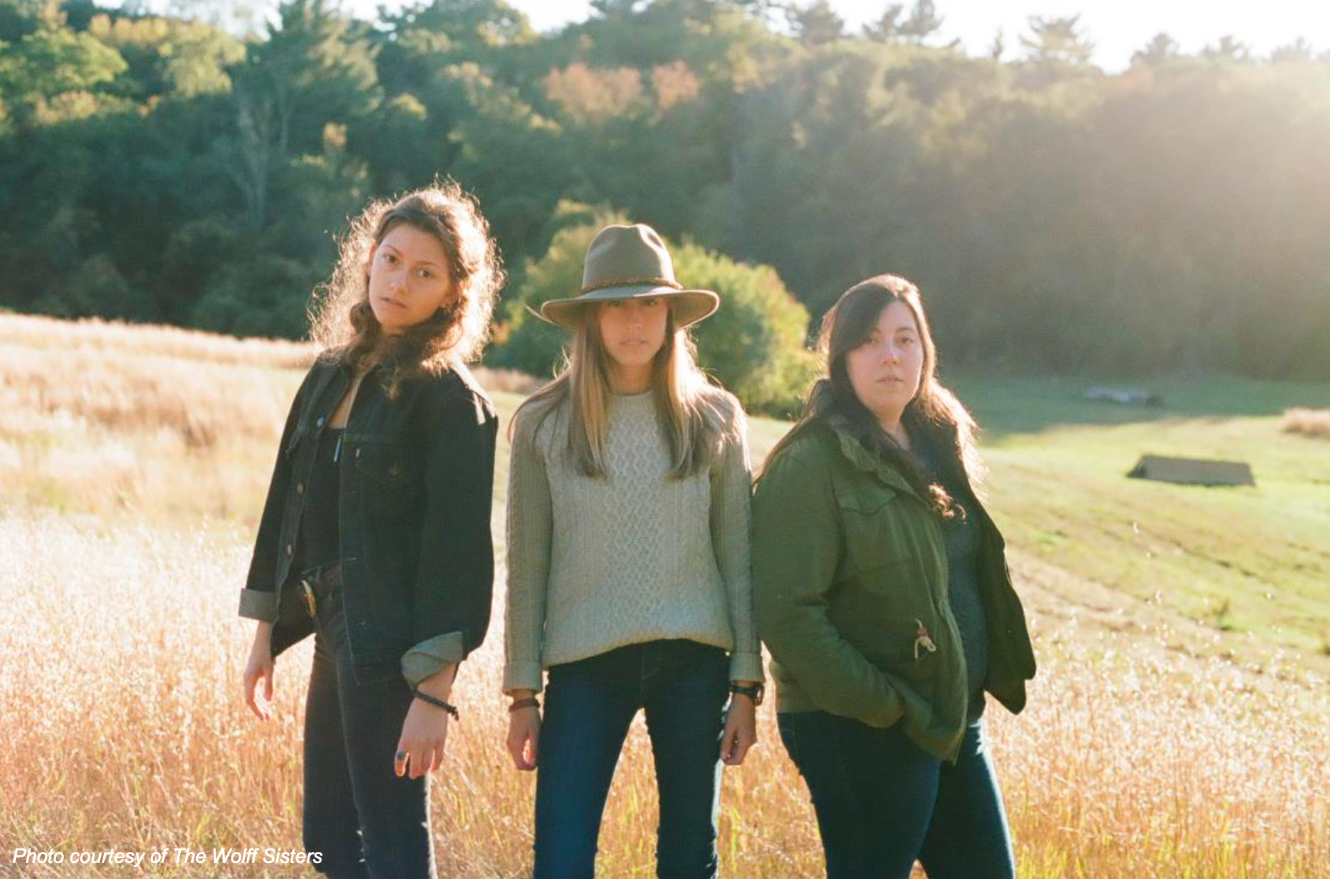 20th Annual Celebrate Mansfield Festival