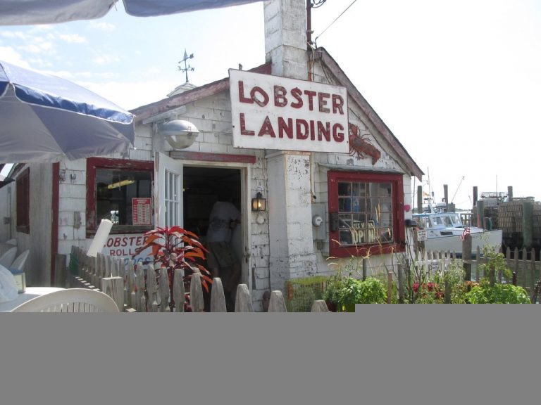 lobster prep station 768x576