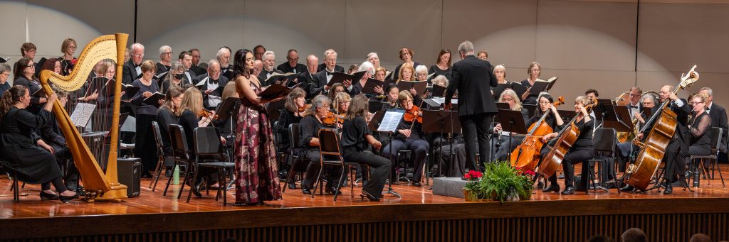 Photo of Cappella Cantorum in concert, via of Cappella Cantorum.