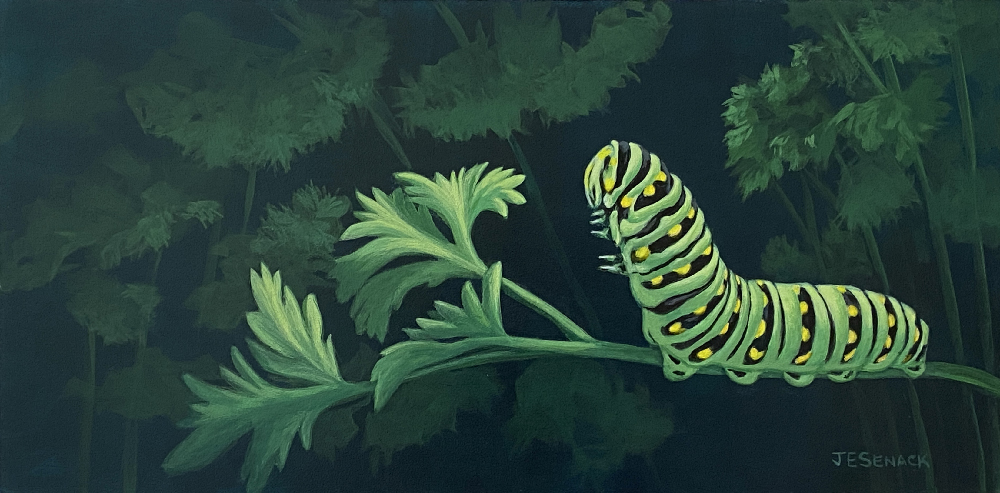 J Elaine Senack, "Black Swallowtail Caterpillar", acrylic