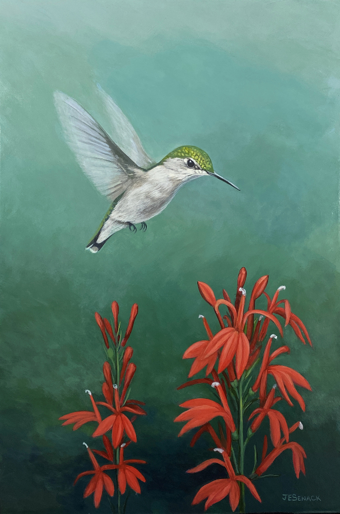 J Elaine Senack, "Hummingbird & Cardinal Flowers", acrylic