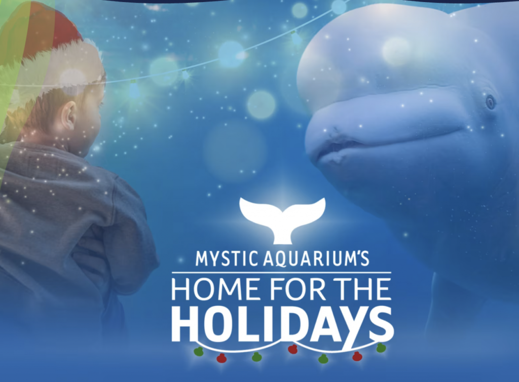 Mystic Aquarium home for the holidays on exhibit until December 30, 2023