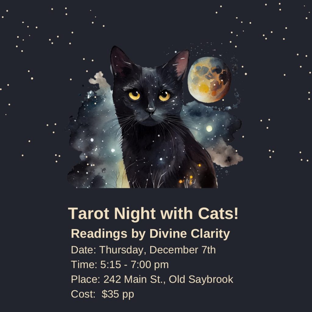 Tarot night with cats at all the single kitties in Old saybrook, connecticu