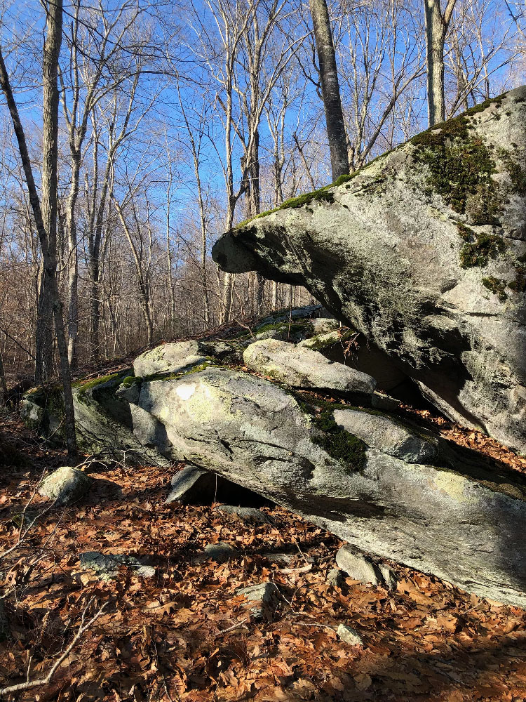 Sunday after Thanksgiving hike in Lyme Connecticut 