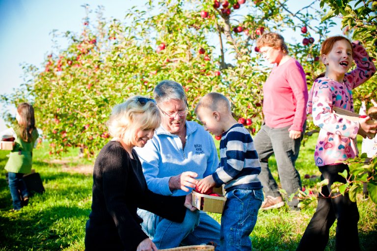 Lyman Orchards Farm 768x511