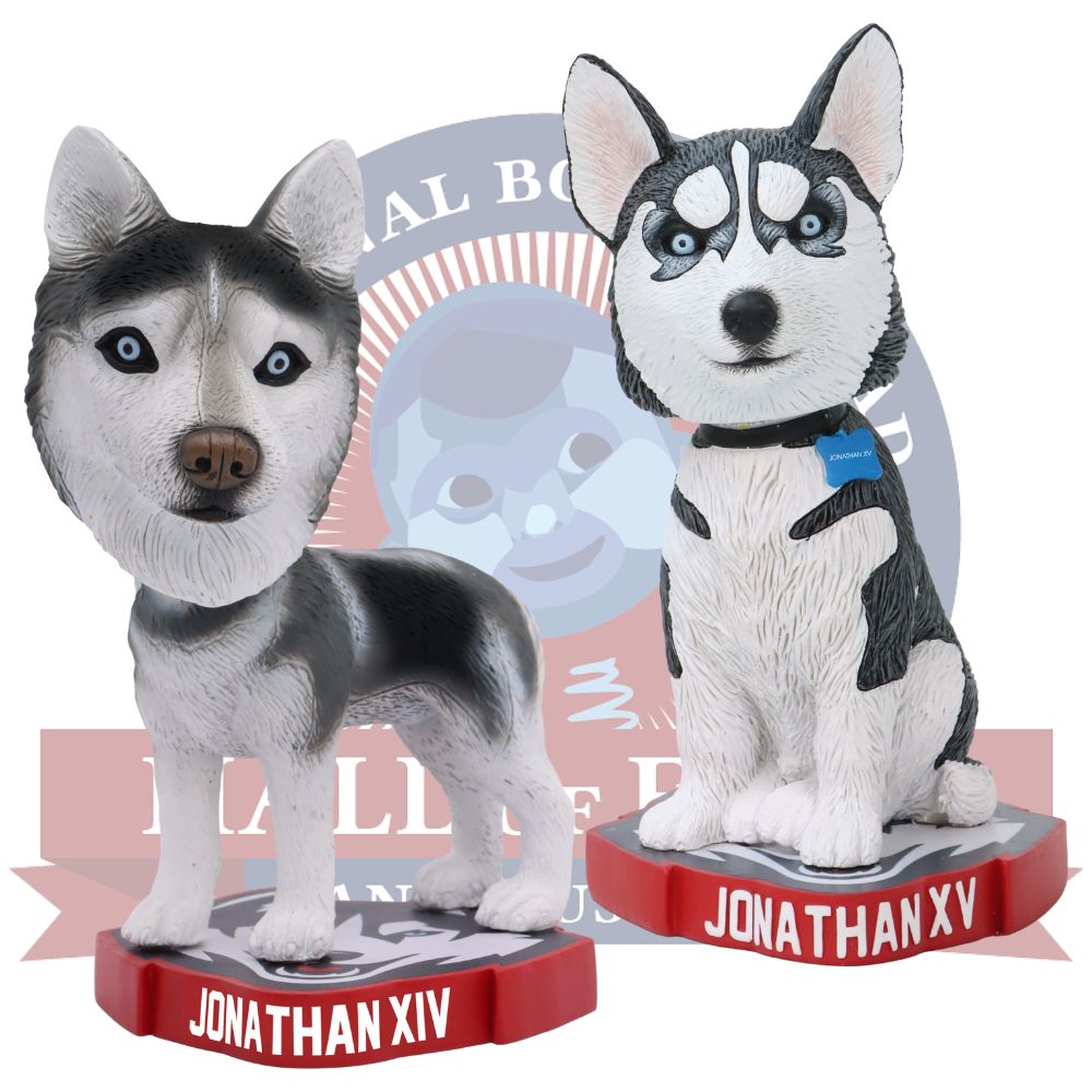 Jonathan husky bobblehead - uconn- Storrs, Connecticut