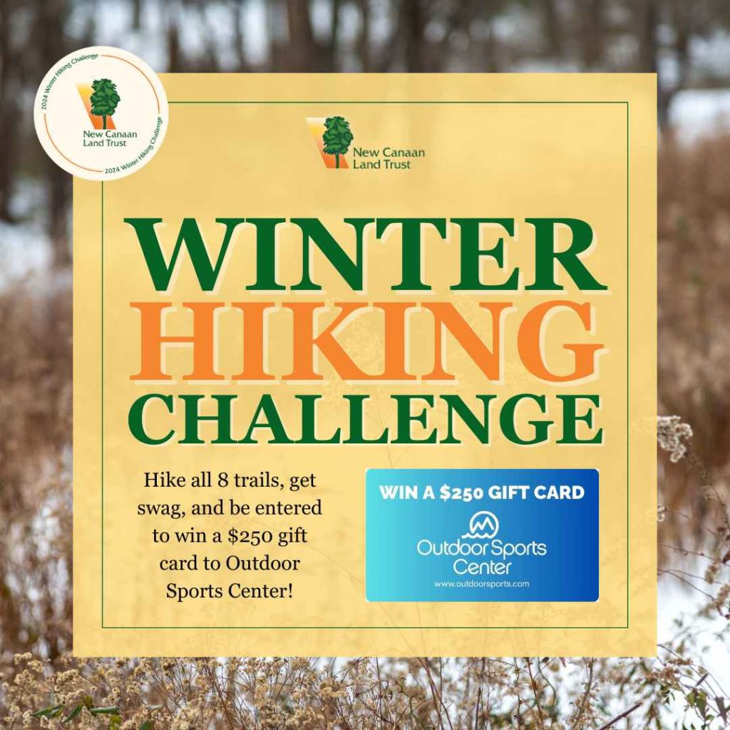 New Canaan Land Trust winter hiking challenge, new canaan, connecticut 