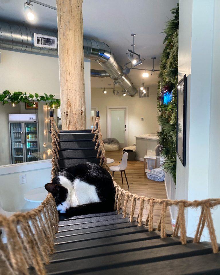 processed 80A966BA B65D 4476 A9FB 9B68D10FF126 768x960