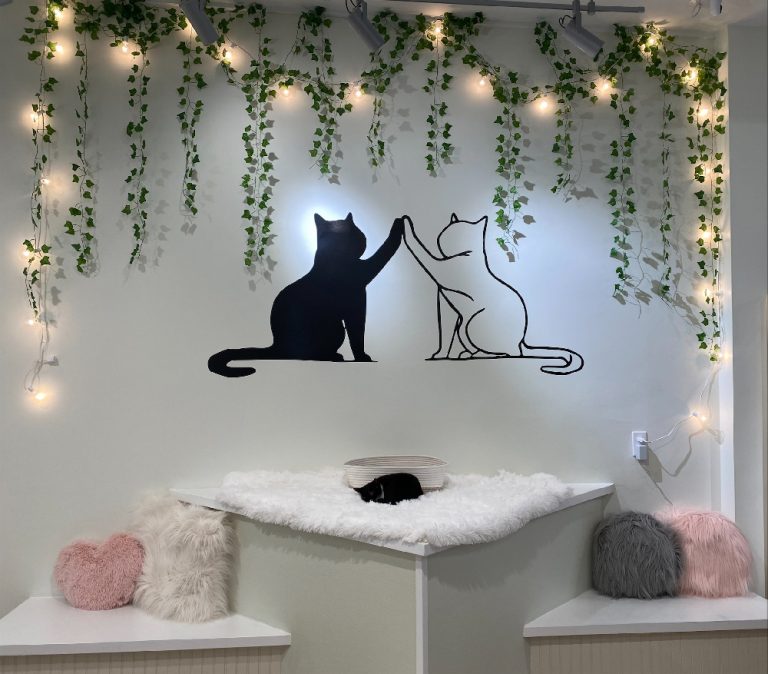 processed B0A2B454 D108 443C B4C8 F443D47D9FCC 768x674