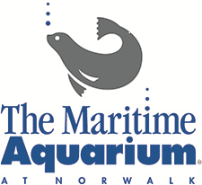 the maritime aquarium, norwalk, connecticut