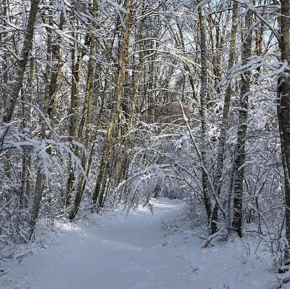 Snow shoe with Lyme Land Trust on February 14 2024 in Lyme Connecticut