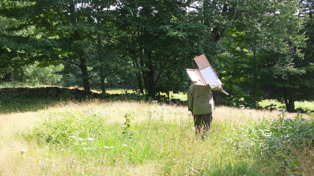 Weir Farm Meadow and Woodlands with Stone Wall in Summer