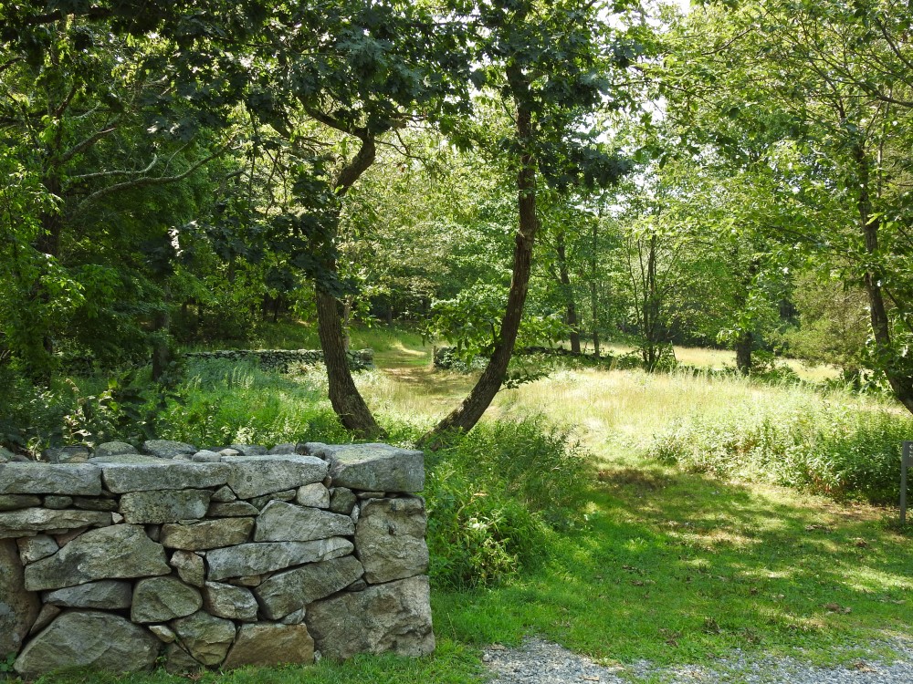 Weir Farm Meadow and Woodlands with Stone Wall in Summer