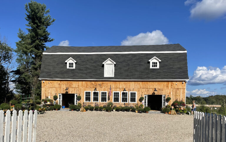 IMG 7047 EDITED 768x485