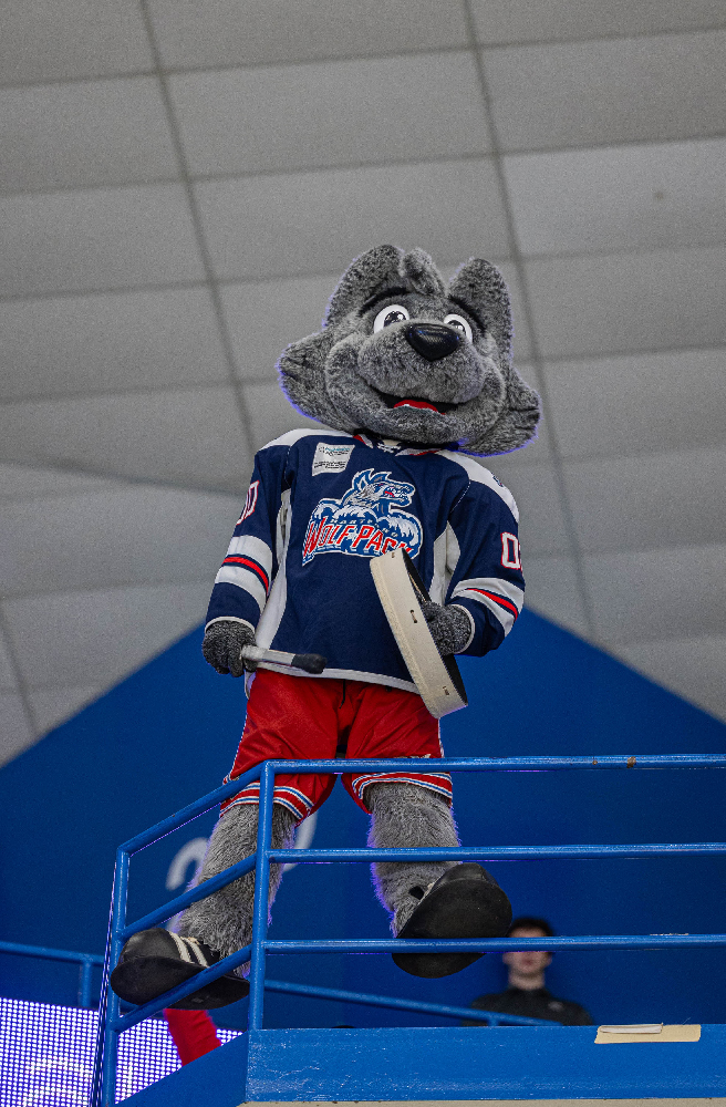 Hartford Wolf Pack vs Hershey Bears on March 30, 2024 at the XL Center in Hartford, Connecticut photos by Scott Chiappetta