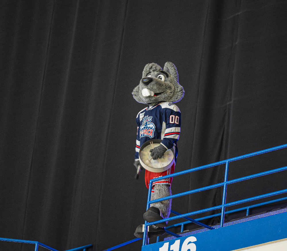 Hartford Wolf Pack vs Hershey Bears on March 30, 2024 at the XL Center in Hartford, Connecticut photos by Scott Chiappetta