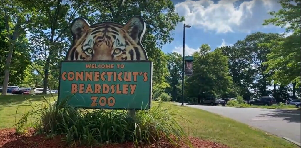Photo via Connecticut Beardsley Zoo in bridgeport, Connecticut