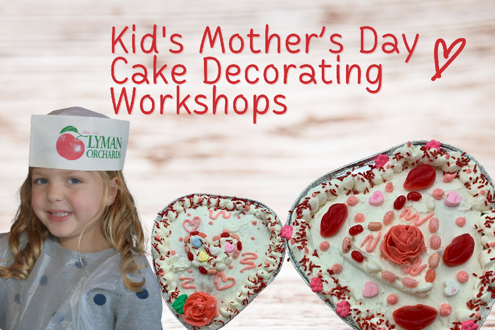 Kids Mother's Day Cake Decorating Workshop at lyman orchards in middlefield, Connecticut in May 2024