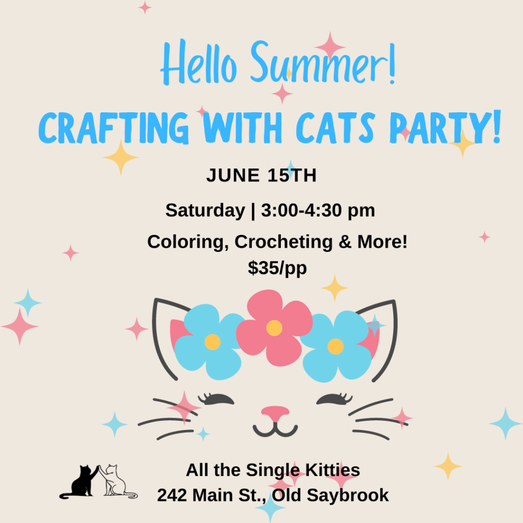 Crafting wtih cats at all the single kitties in old saybrook, connecticut in june 2024