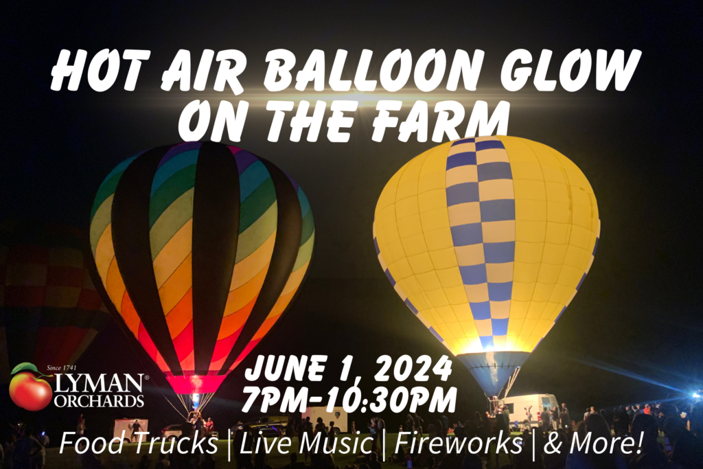 Hot Air balloon glow on the farm at lyman orchards in middlefield Connecticut in June 2024