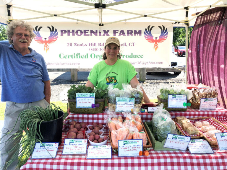 Phoenix Farm 768x576