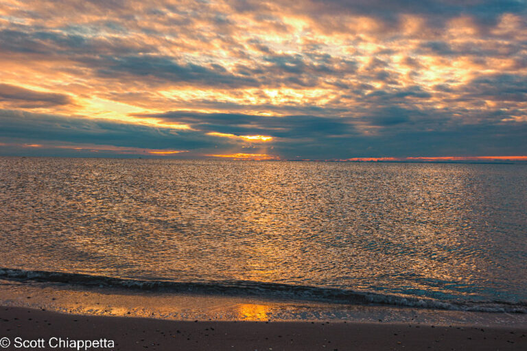 compo cp 39 of 62 768x512