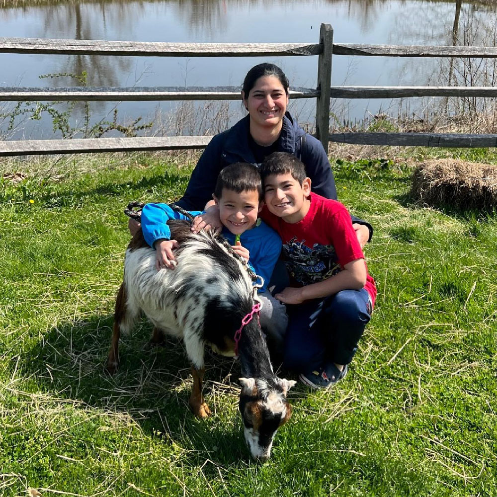 Goat Cuddles at Lyman Orchards in middlefield connecticut in may 2024