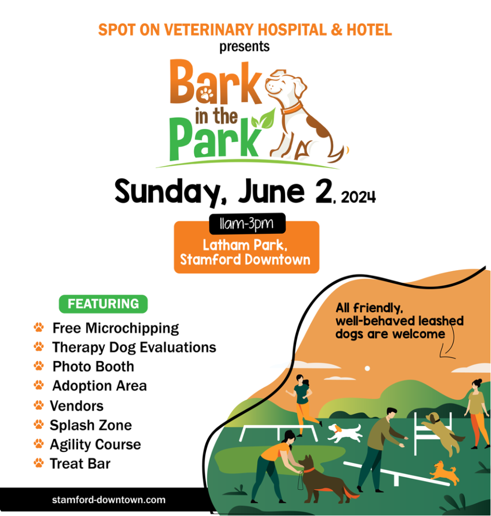 Bark in the park on june 2, 2024 in Lathem park in stamford connecticut 