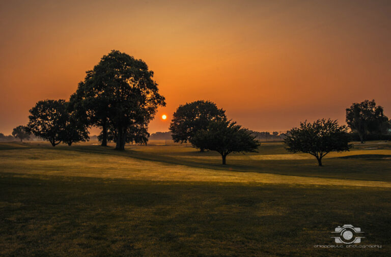 mike rise 17 of 20 768x505