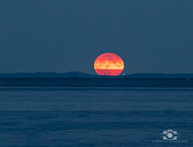 moon 2 of 12 768x588