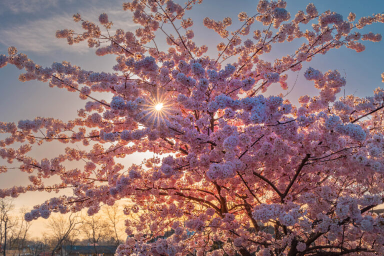 simsbury web 1 of 1 2 768x512