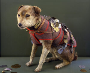 Owney The Post Office Dog At The Danbury Railway Museum In Danbury 