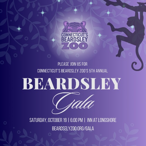 Beardsley Gala at the inn at longshore in westport connecticut in october 2024