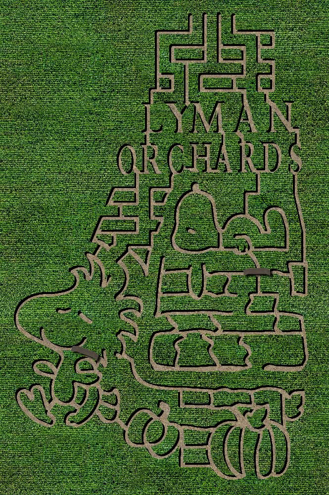 Lyman orchards 2024 corn maze in Middlefield, Connecticut