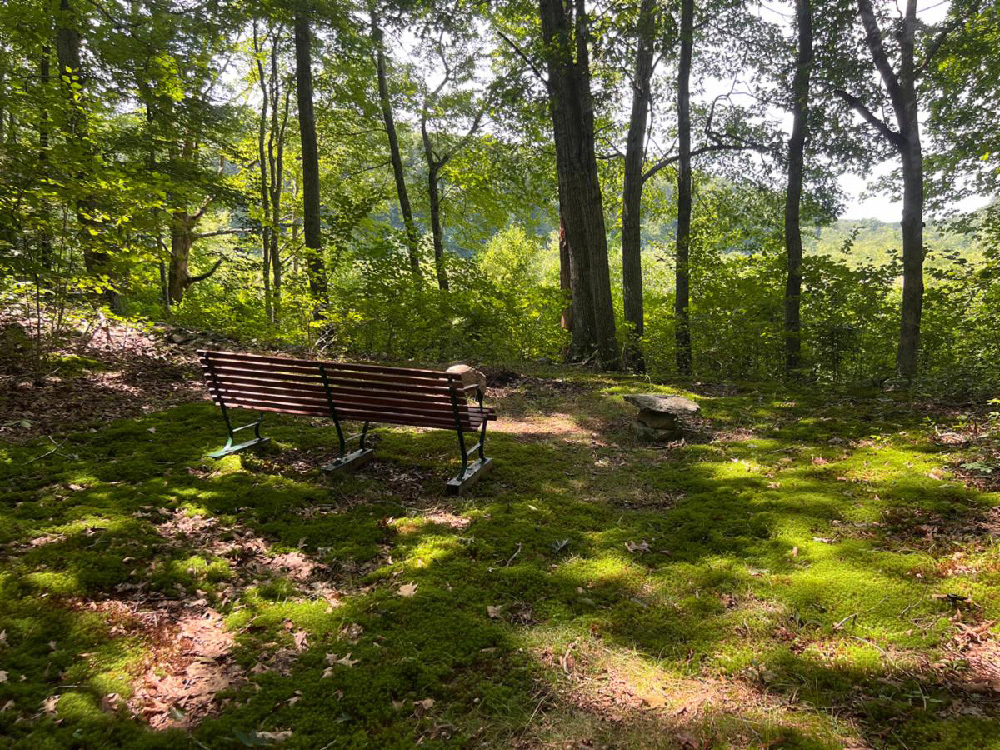 Bench at Richard and Mary Cooper Preserve 41 Hewitt Rd. North Stonington