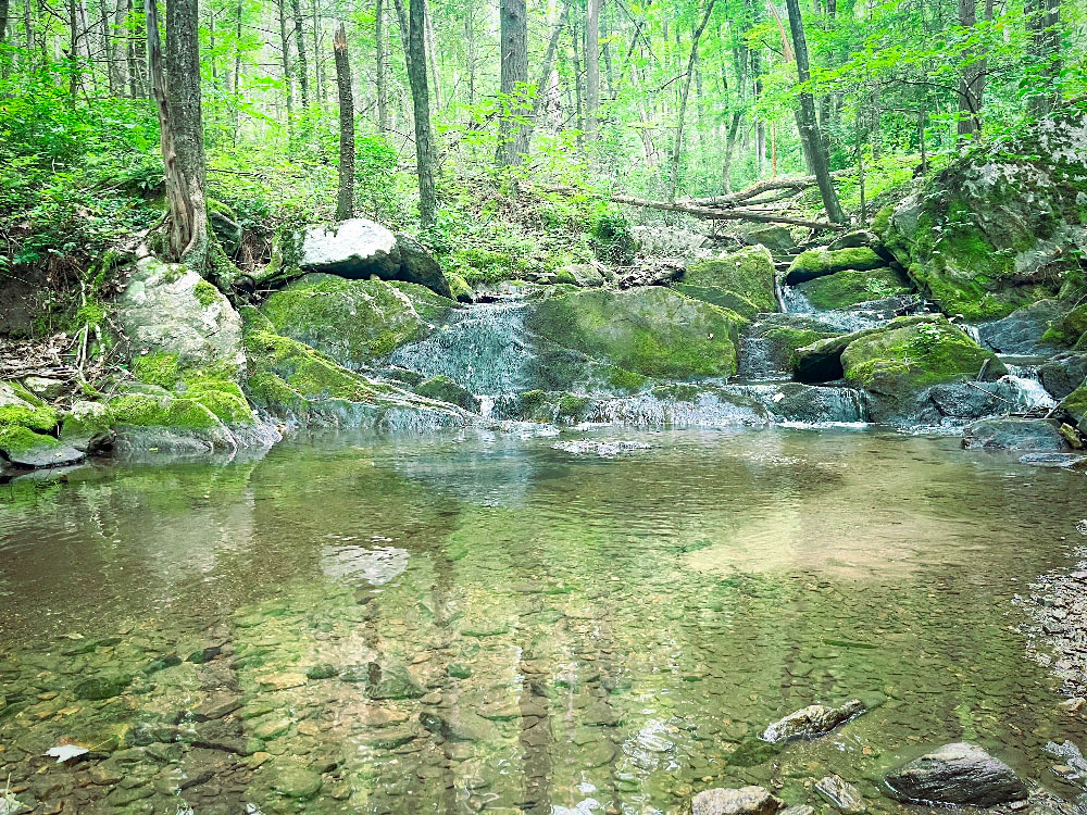 Camping at Housatonic Meadows State Park in Sharon, Connecticut