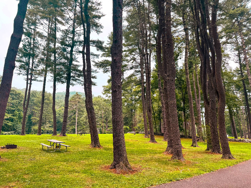 Camping at Housatonic Meadows State Park in Sharon, Connecticut