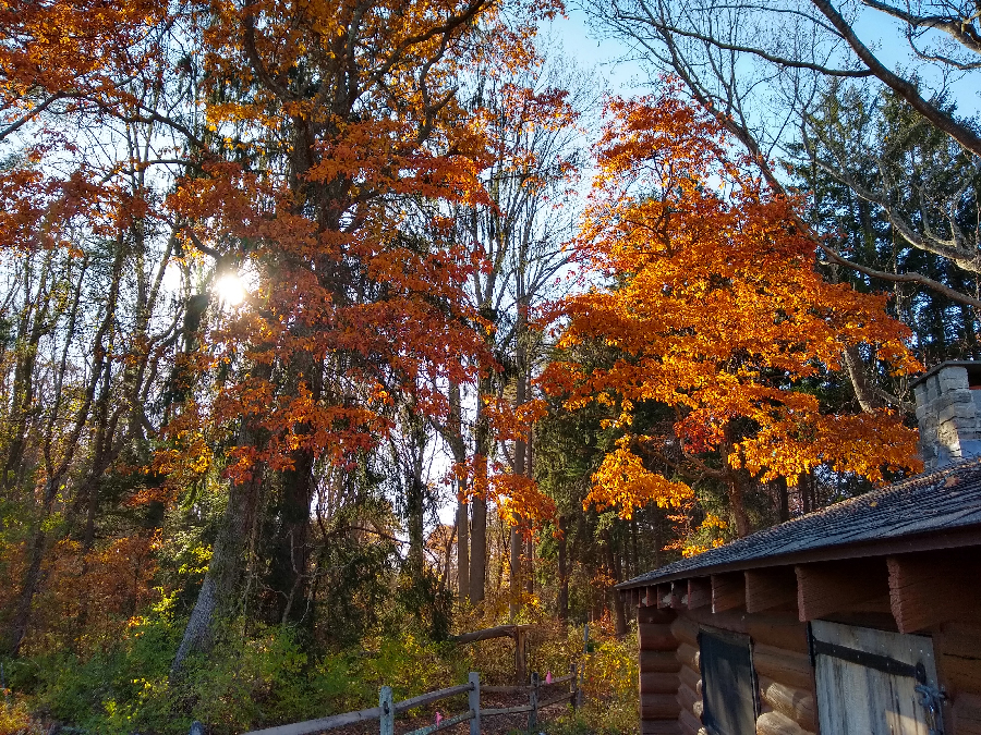 Foilage Walk in Westbrook, Connecticut, in October 2024