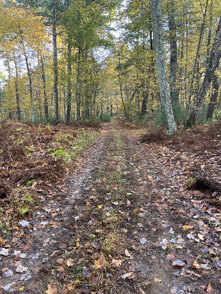 The Land Trust will incorporate existing trails into a new trail system that is open
to the public for hiking