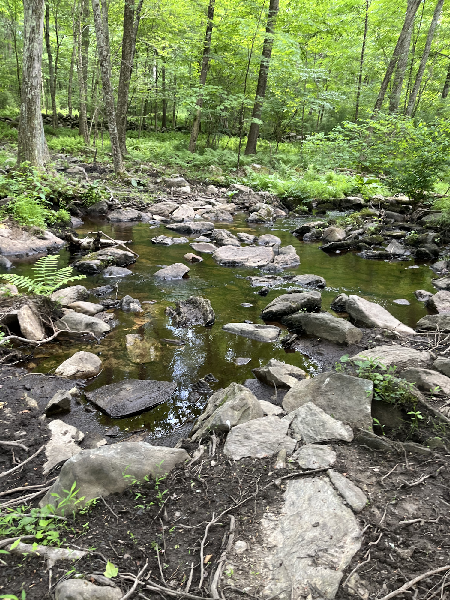 The Land Trust property protects extensive wetlands